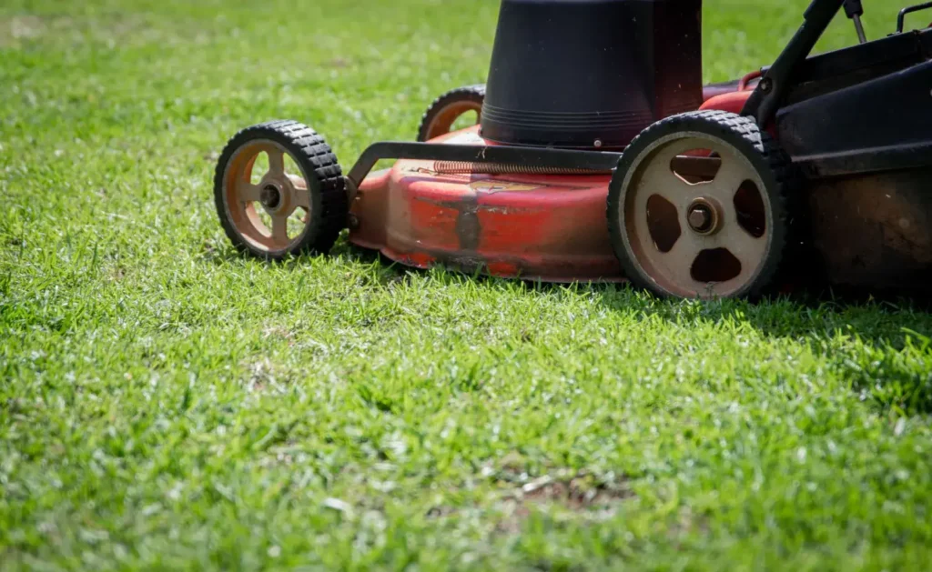 Push mower standing ready on a green lawn