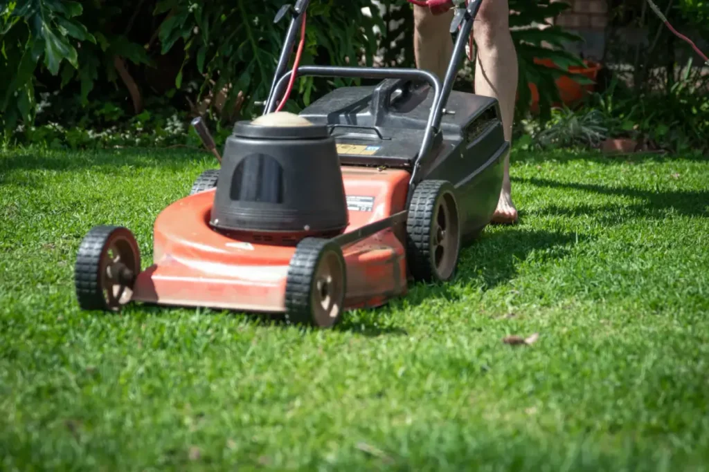 Mower and hand tools ready for a day of work