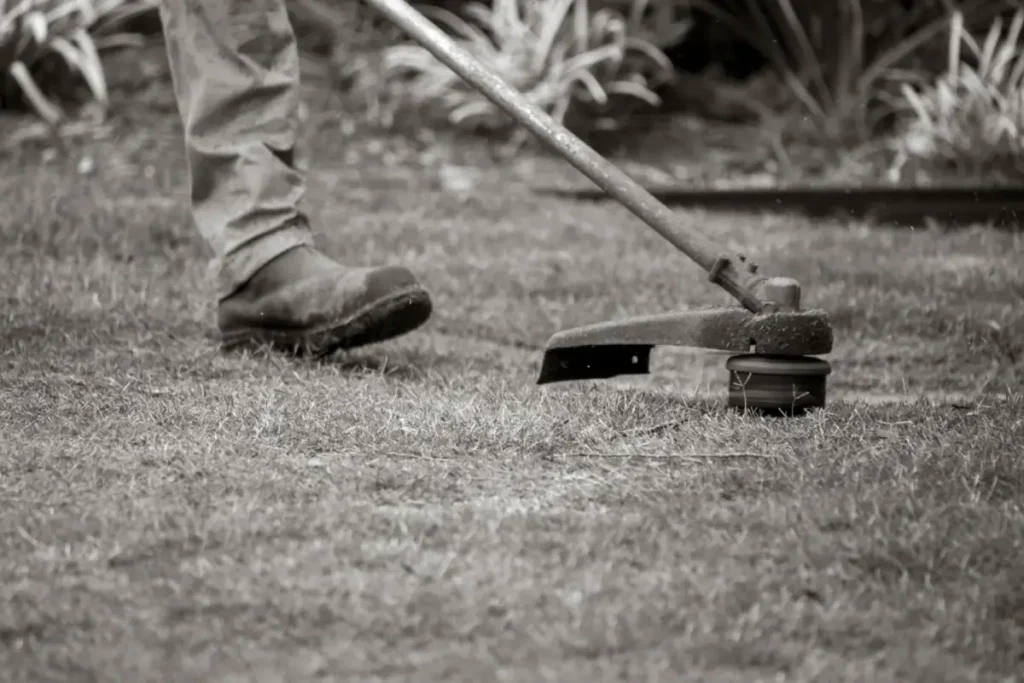 String trimmer working an edge a mower cannot reach
